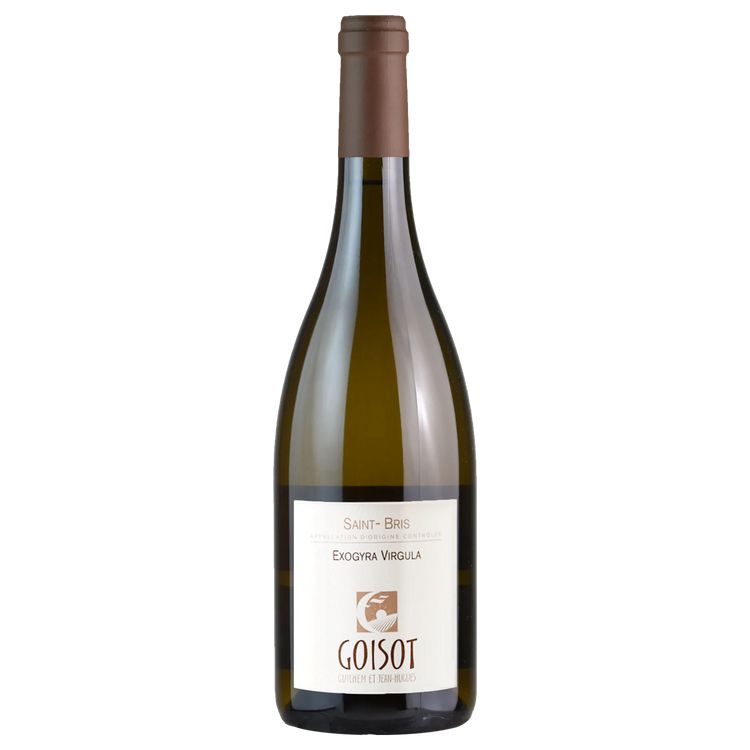 Domaine Guilhem & J-Hugues Goisot Bourgogne Côtes d'Auxerre Gondonne Blanc 2021-White Wine-World Wine