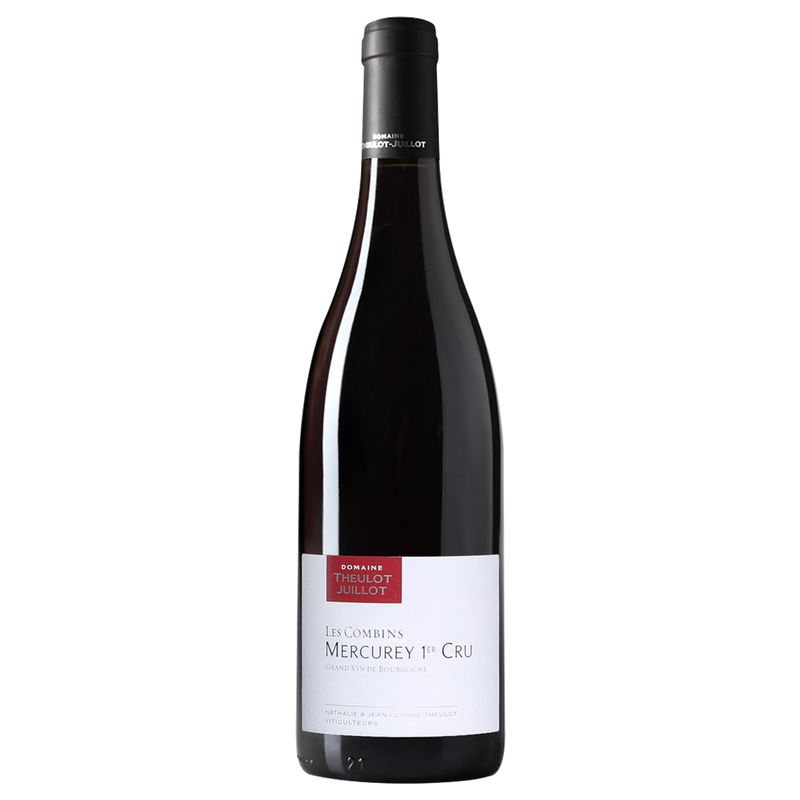 Domaine Theulot Juillot Mercurey 1er Cru Les Champs Martins 2022-Red Wine-World Wine
