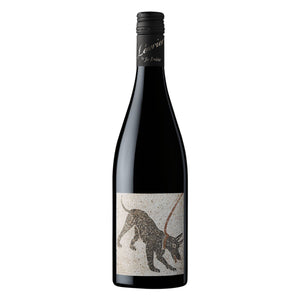 Levrier Argos Shiraz 2016