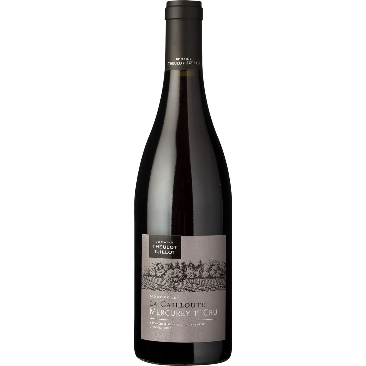 Domaine Theulot Juillot Mercurey 1er Cru La Cailloute 2022-Red Wine-World Wine