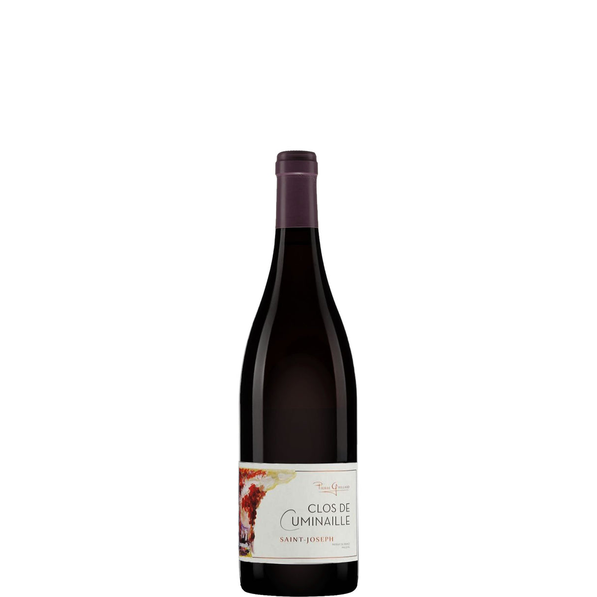 Domaine Pierre Gaillard Saint-Joseph Clos de Cuminaille 2022-Red Wine-World Wine
