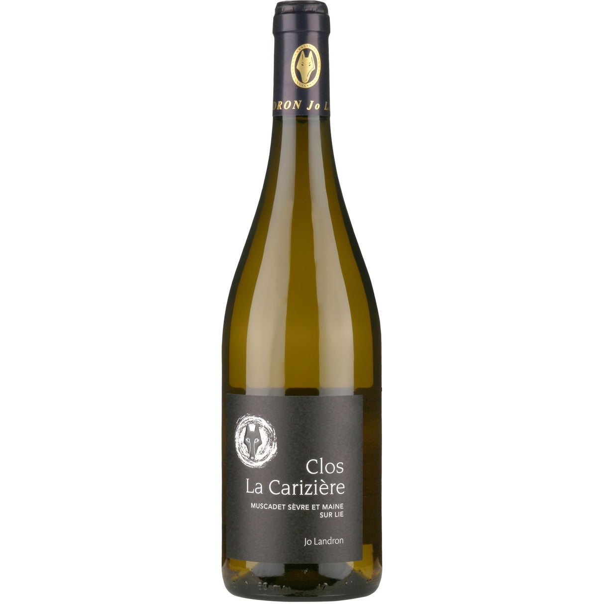 Jo Landron Muscadet Sèvre et Maine Le Clos La Carizière 2020-White Wine-World Wine