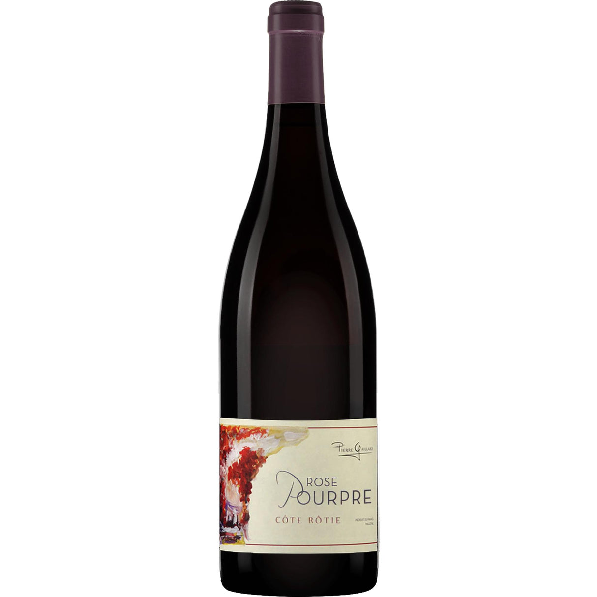 Domaine Pierre Gaillard Côte-Rôtie Rose Pourpre 2022-Red Wine-World Wine
