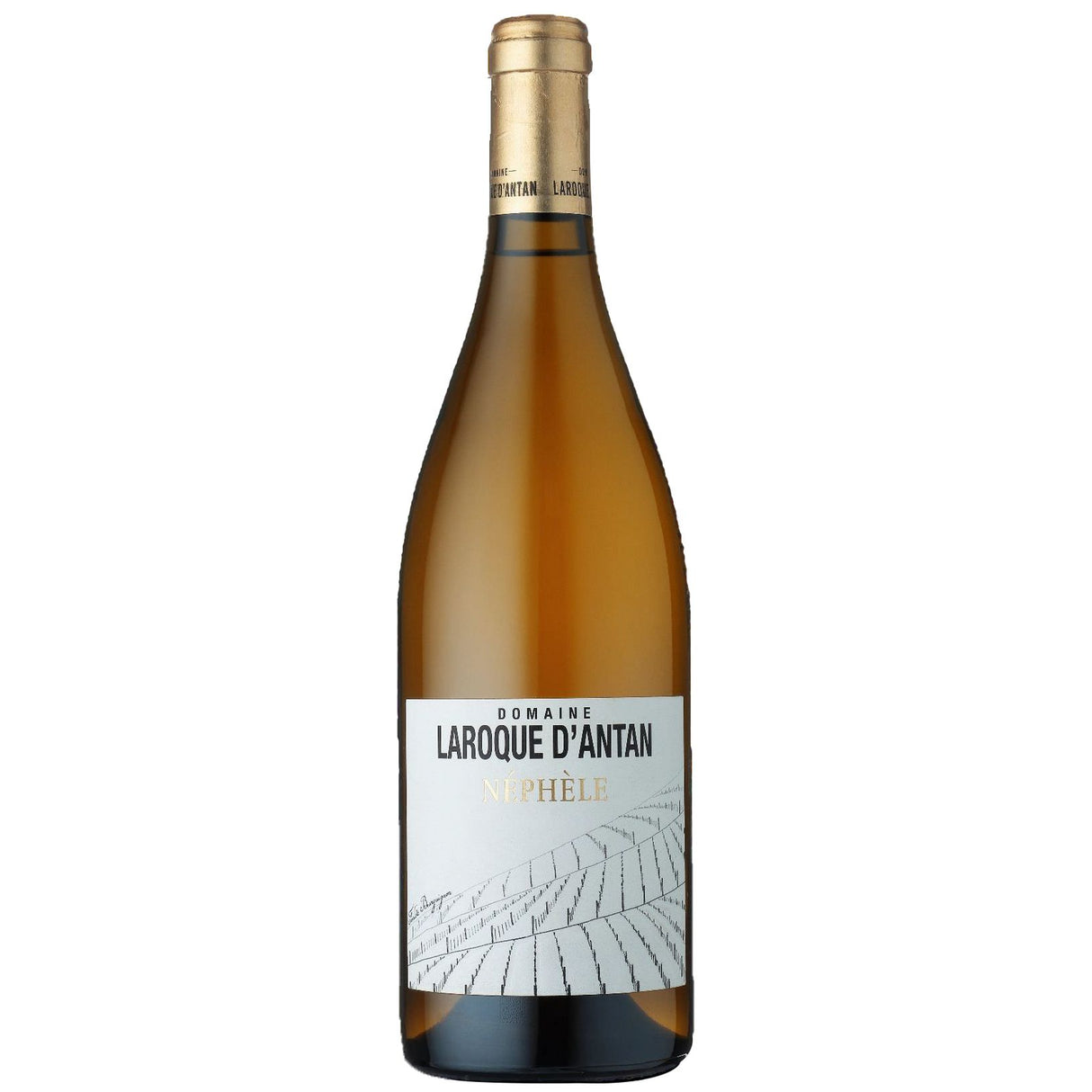 Domaine Laroque D'Antan IGP Côtes du Lot Néphèle Blanc 2021-White Wine-World Wine