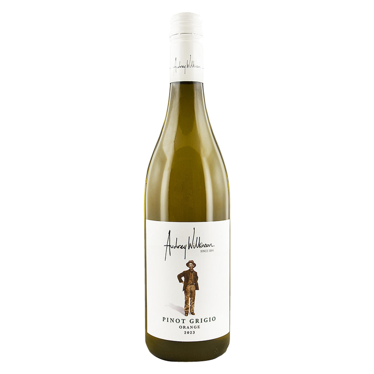 Audrey Wilkinson Pinot Grigio 2024-White Wine-World Wine