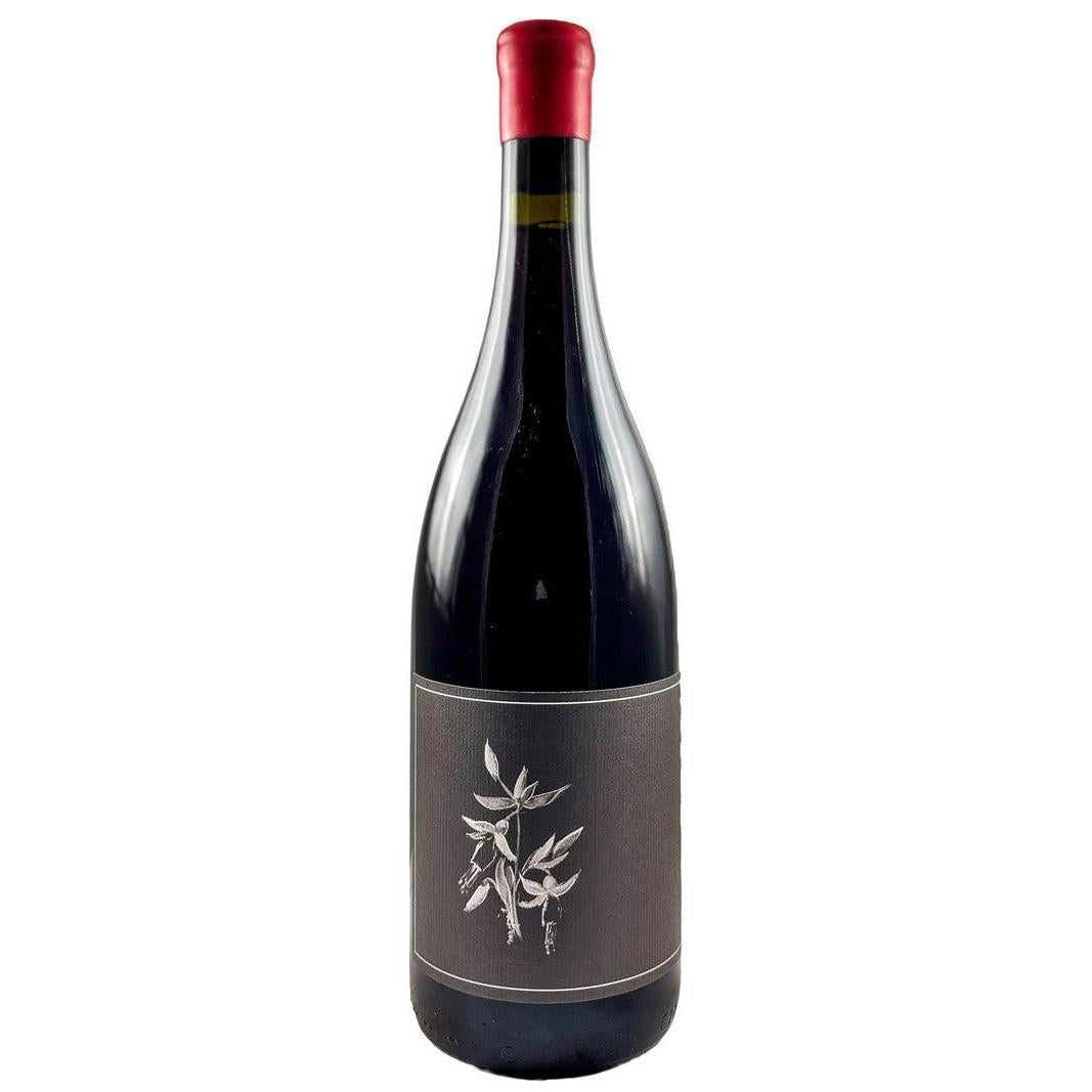 Arnot-Roberts North Coast Trousseau 2024-Red Wine-World Wine