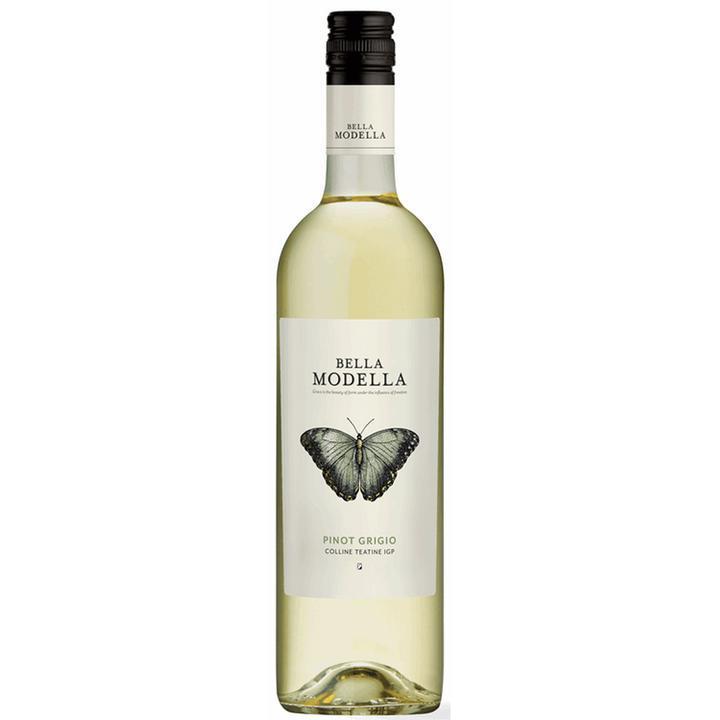 Bella Modella Pinot Grigio 2025-White Wine-World Wine