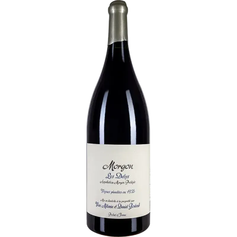 Domaine Daniel Bouland Morgon Délys Vignes de 1926 2023 (1500ml)-Red Wine-World Wine