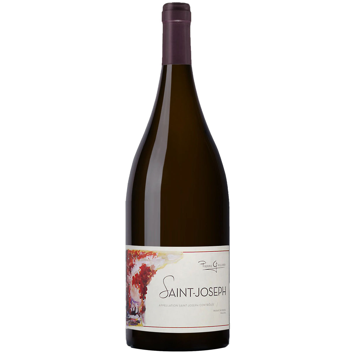 Domaine Pierre Gaillard Saint-Joseph Rouge 2021 (1500ml)-Red Wine-World Wine