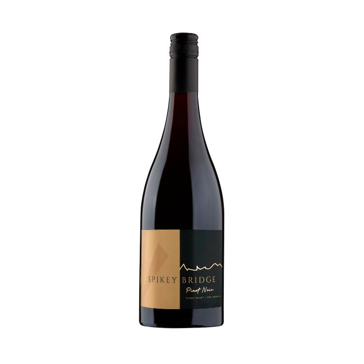 Spikey Bridge Vineyard Pinot Noir 2022-Red Wine-World Wine