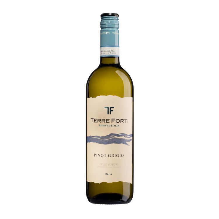 Terre Forti Pinot Grigio Delle Venezie DOC 2023-White Wine-World Wine