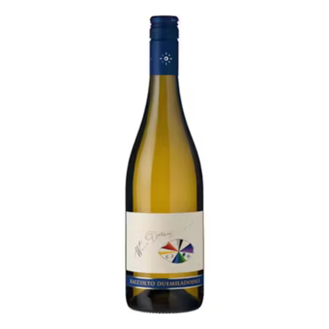 Jermann Where Dreams Have No End IGT 2022-White Wine-World Wine