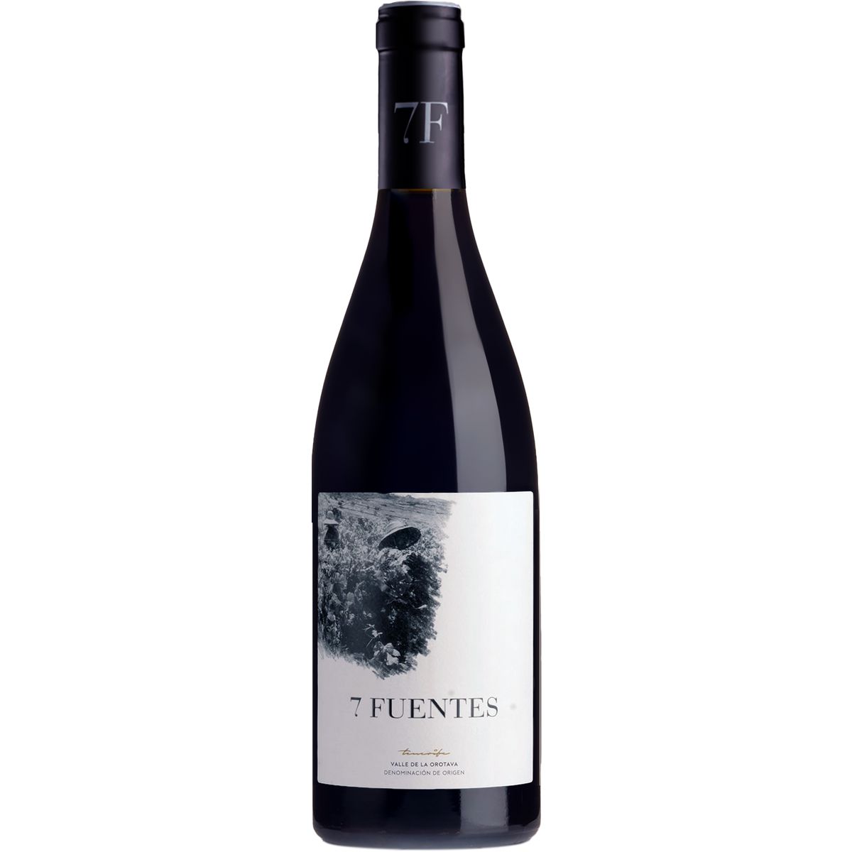 Suertes del Marqués Tenerife Valle de la Orotava 7 Fuentes 2021-Red Wine-World Wine