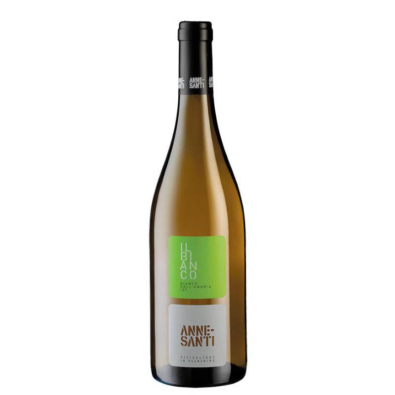 Annesanti Bianco 'Ninfa del Nera' 2023-White Wine-World Wine