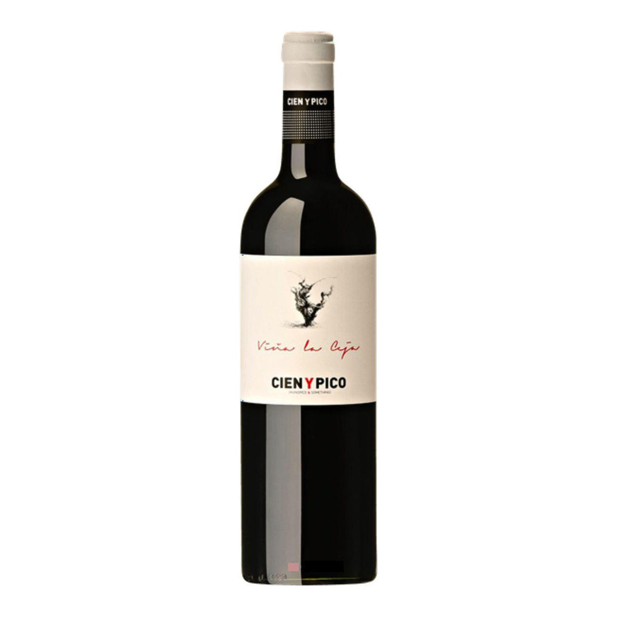 Cien Y Pico Viña La Ceja Bobal Garnacha 2021-Red Wine-World Wine