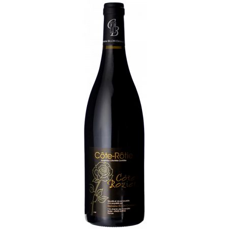 Domaine Billon Cote Rotie Cote Rozier 2020-Red Wine-World Wine
