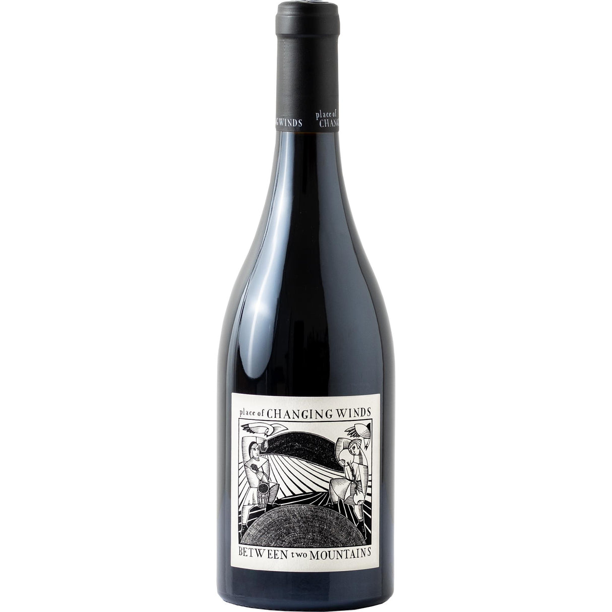 Place of Changing Winds Between Two Mountains Pinot Noir 2023 (EXPORT)-Red Wine-World Wine
