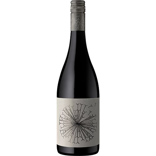 Dandelion Vineyards Lion's Tooth of McLaren Vale Shiraz Riesling 2022-Red Wine-World Wine