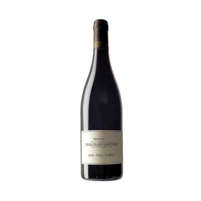 Domaine Dubost Beaujolais-Villages Rouge 2023-Red Wine-World Wine