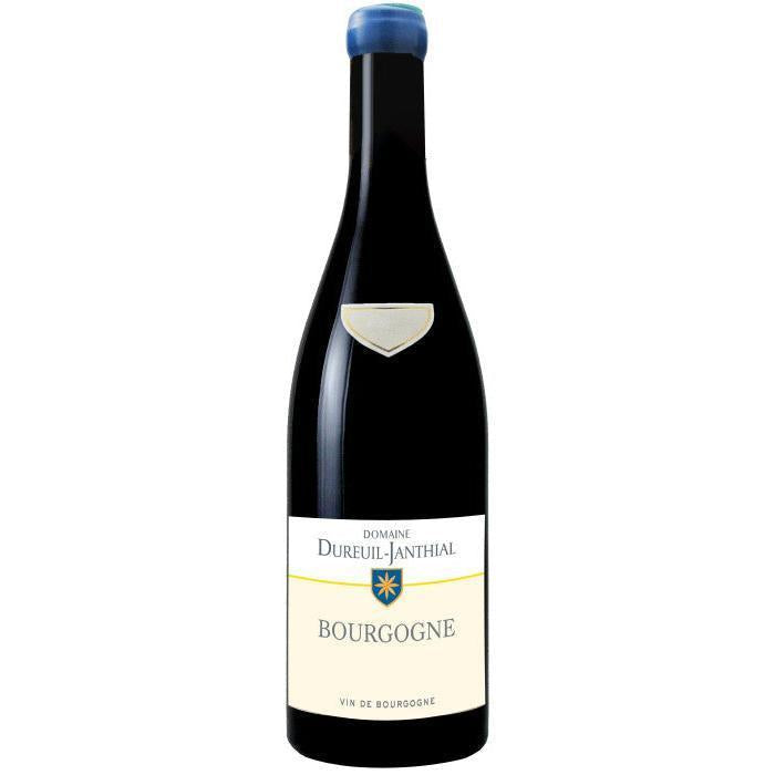 Domaine Dureuil-Janthial Bourgogne Rouge 2022-Red Wine-World Wine