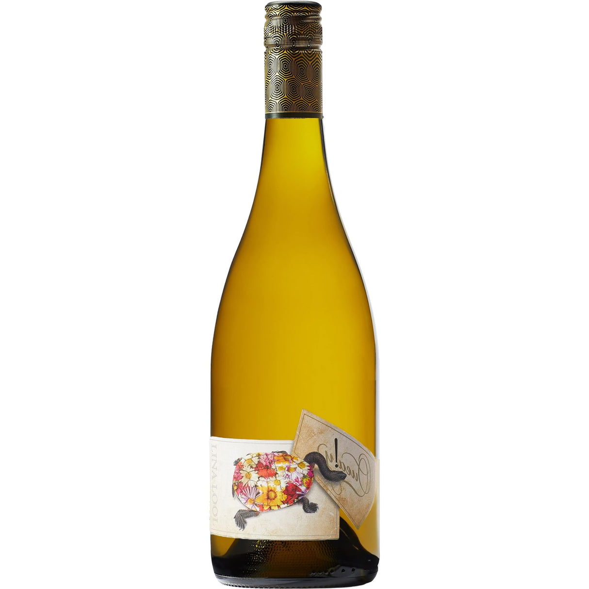 Quealy Lina Lool 2021-White Wine-World Wine