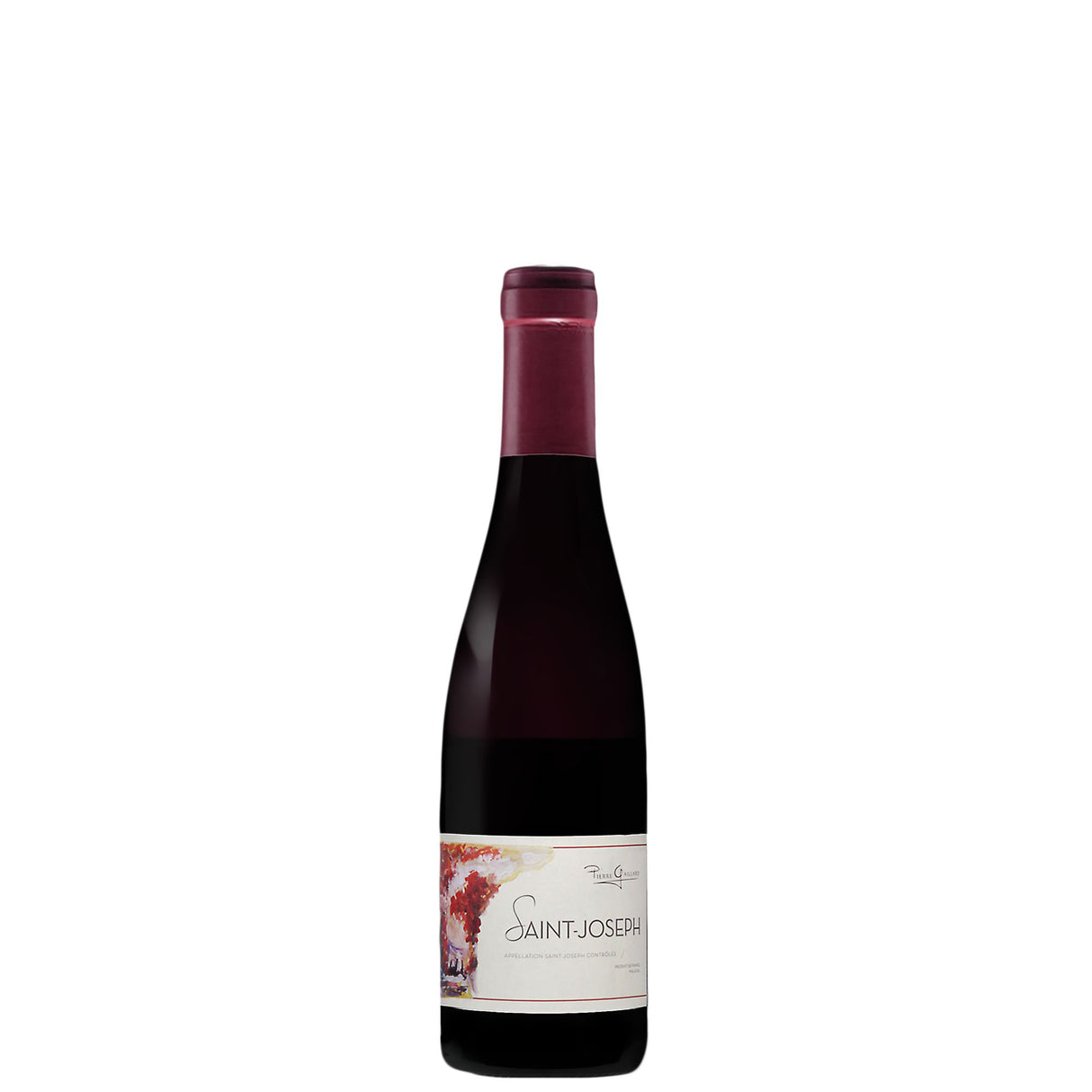 Domaine Pierre Gaillard Saint-Joseph Clos de Cuminaille 2021 (375ml)-Red Wine-World Wine