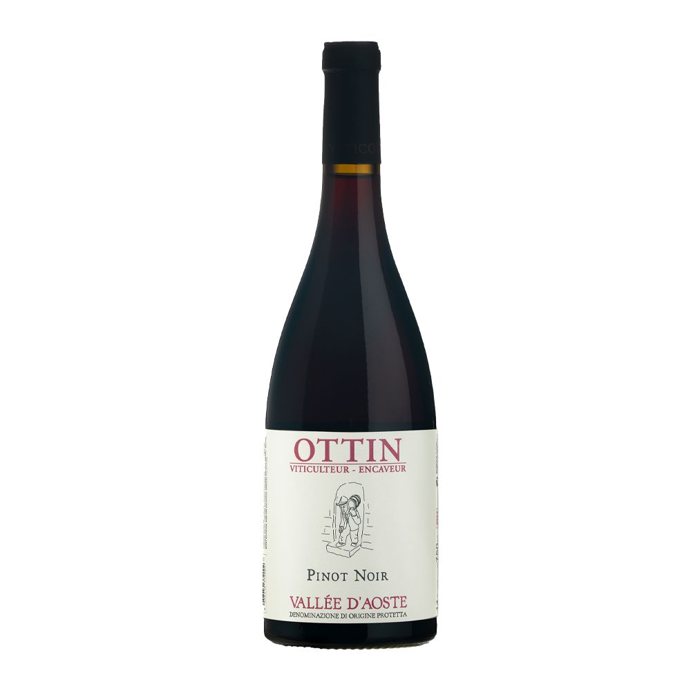 Elio Ottin Pinot Noir DOP 2023-Red Wine-World Wine