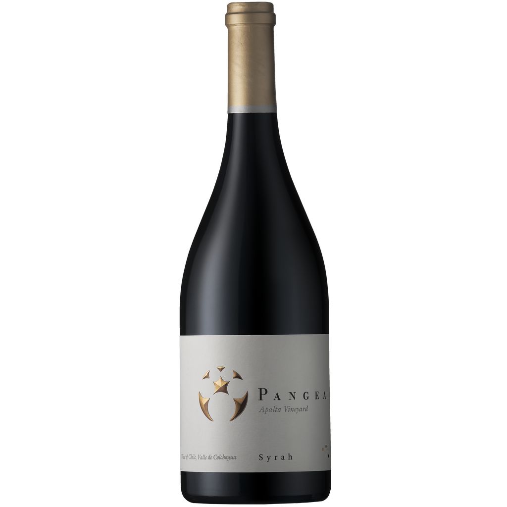 Vina Ventisquero Pangea Syrah 2018-Red Wine-World Wine