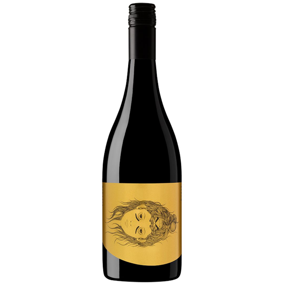 Hentley Farm Villain & Vixen Shiraz-Red Wine-World Wine