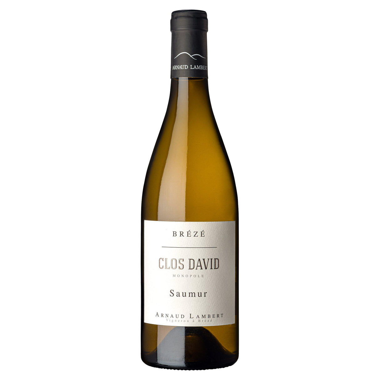 Arnaud Lambert Saumur Brézé Clos David 1500ml 2018-White Wine-World Wine