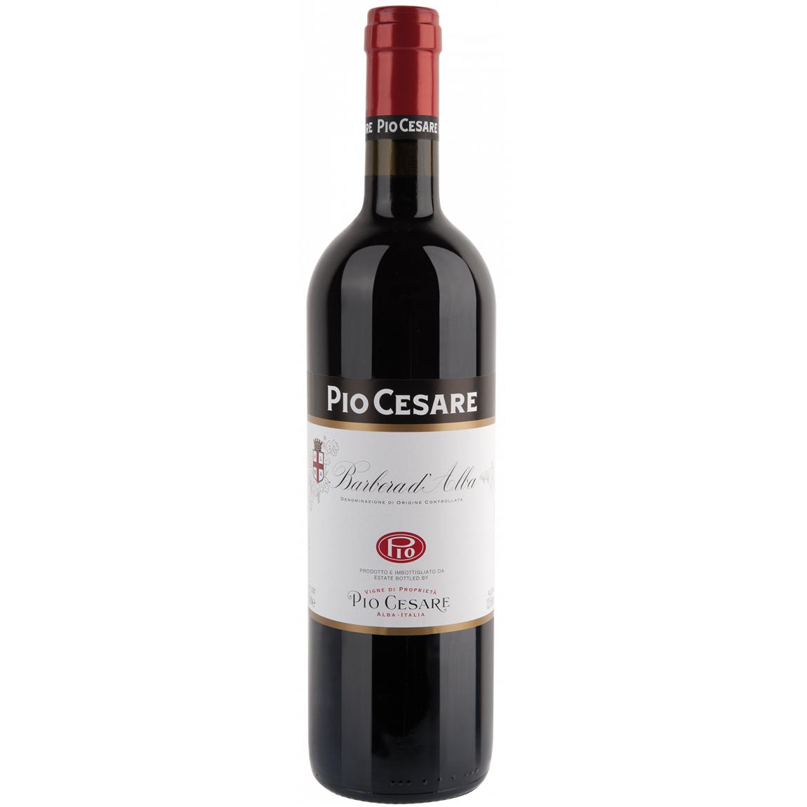 Pio Cesare Barbera d'Alba DOC 2022-Red Wine-World Wine