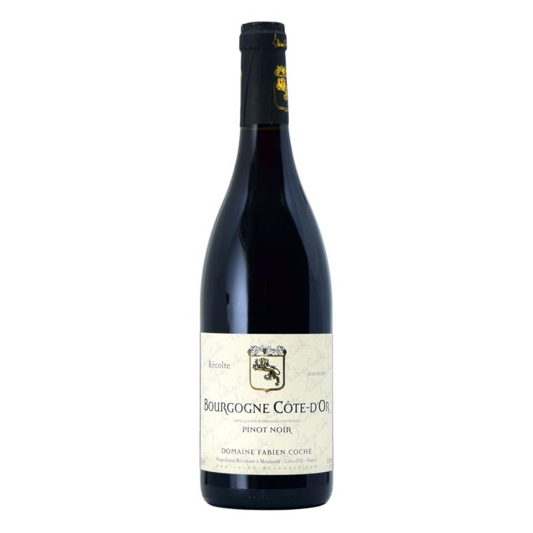 Fabien Coche Bourgogne Rouge 2019-Red Wine-World Wine