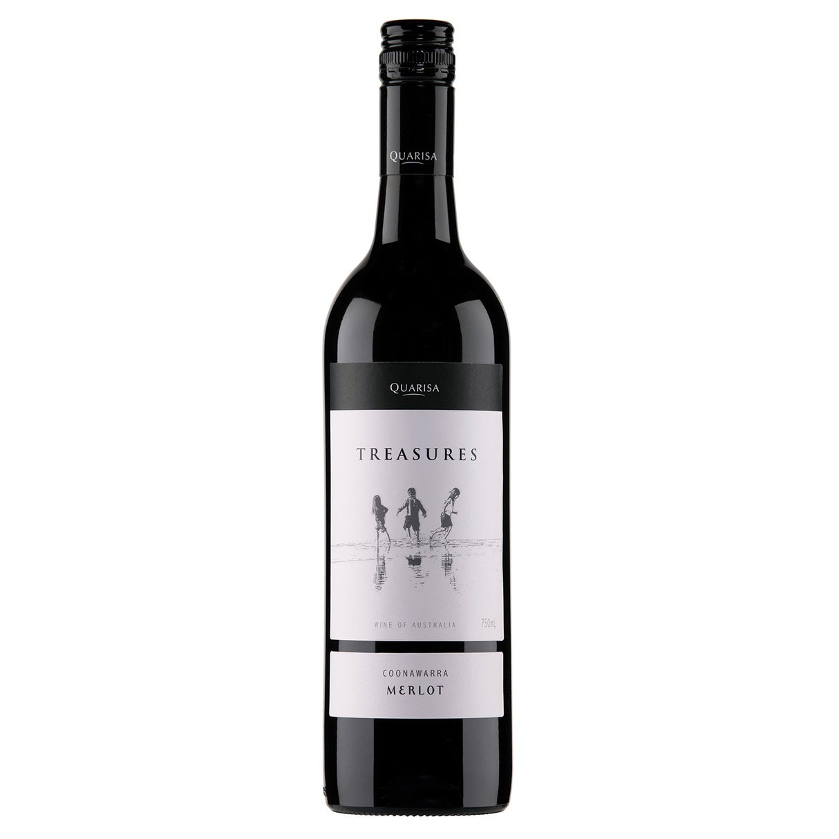 Treasures Merlot-Red Wine-World Wine