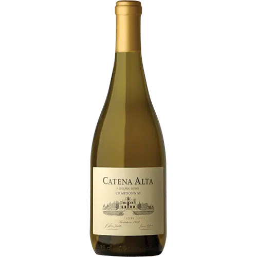 Catena Alta Chardonnay 2022-White Wine-World Wine
