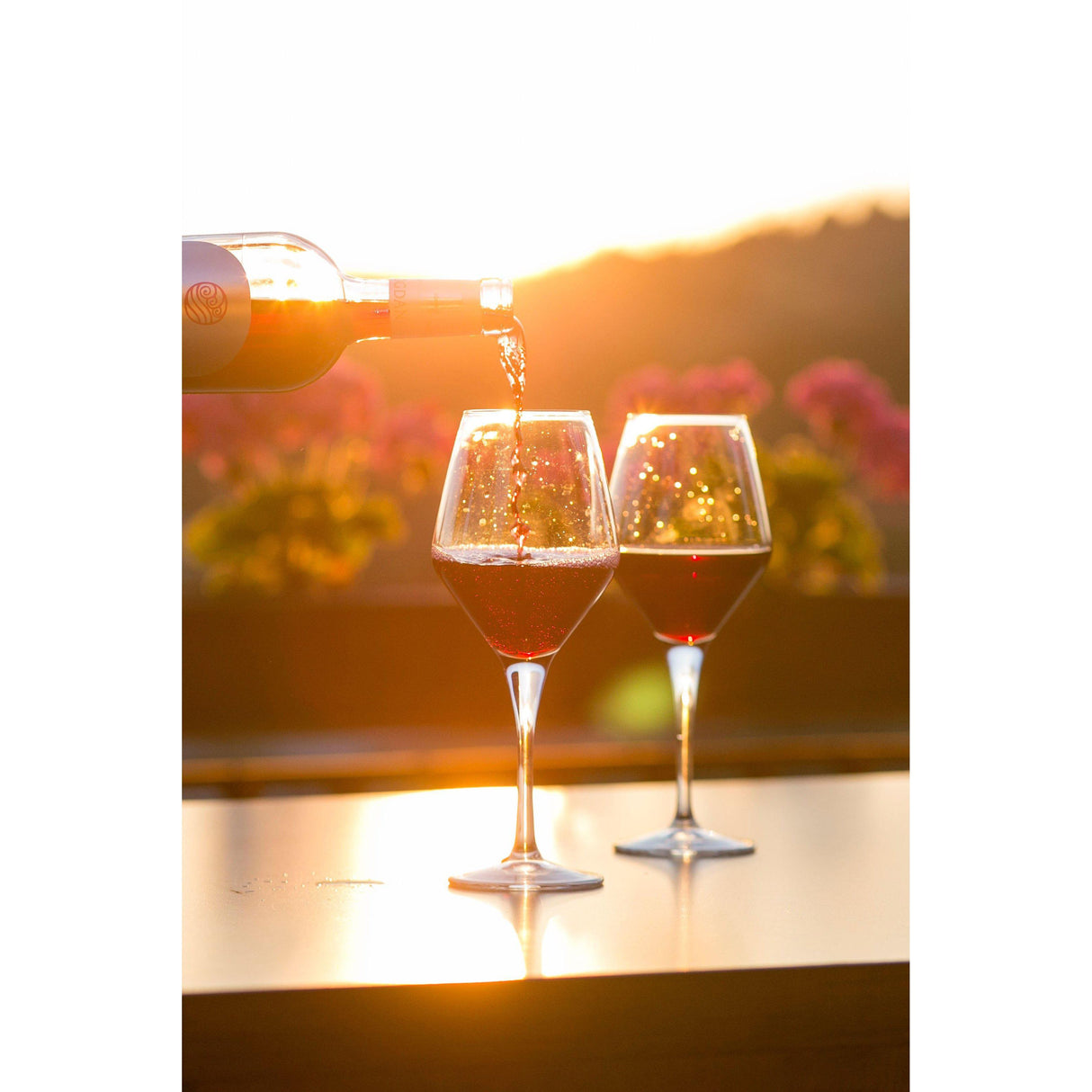 World Wine's Super Special Dozen - All Rosés-Special Cases-World Wine