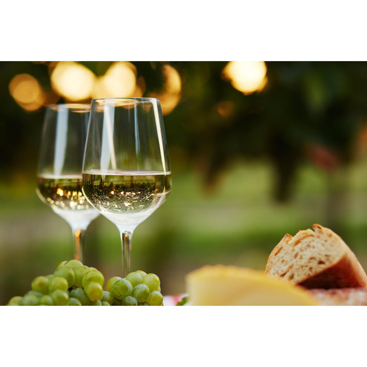 The "BBC Case" - 12 Big Buttery Chardonnays-Special Cases-World Wine