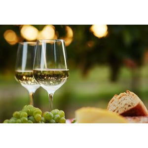 The "BBC Case" - 12 Big Buttery Chardonnays