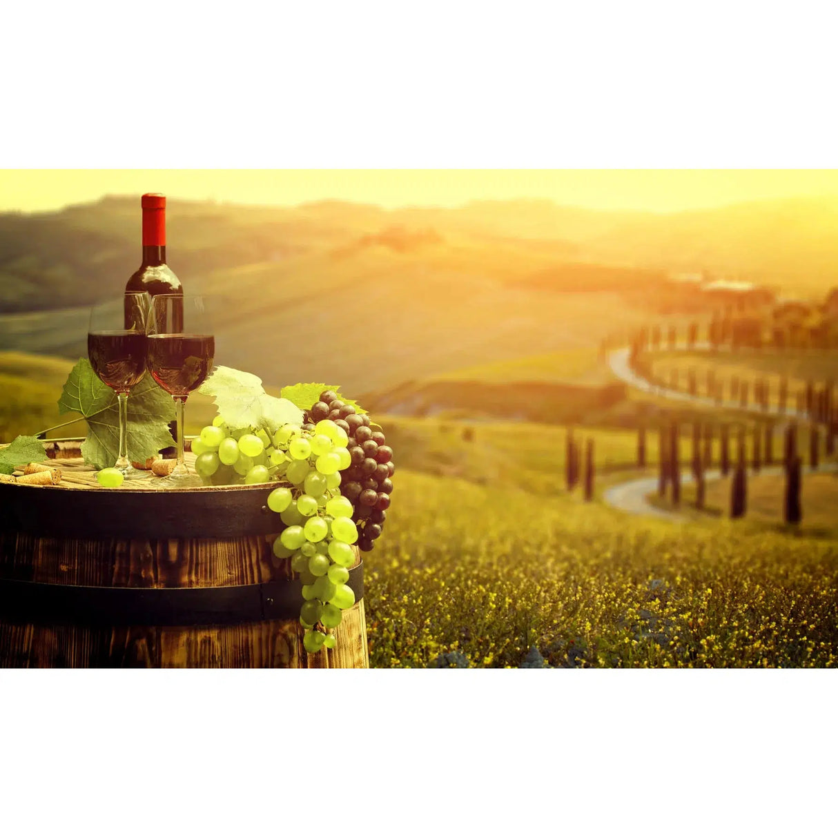 World Wine Barossa Reds Dozen-Special Cases-World Wine