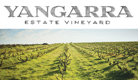 97pt Mclaren Vale Shiraz!