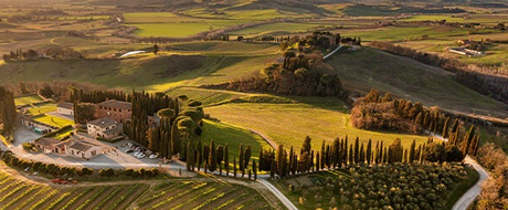 Wines of Tuscany: Beyond Chianti and Brunello