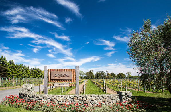 Back in Stock - 99 Point "Impeccably Composed" Pinot Noir