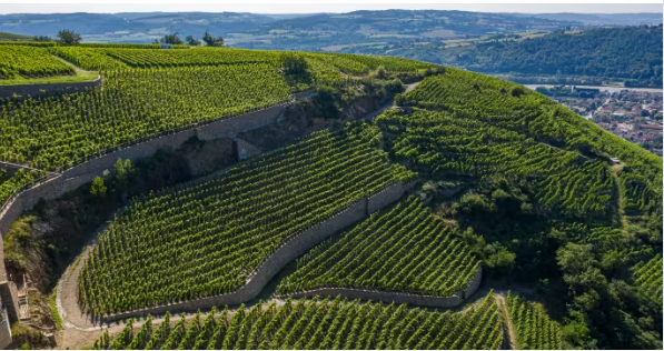New Defaix Chablis, Rully + Guigal Single Vineyard Release - Extremely Limited