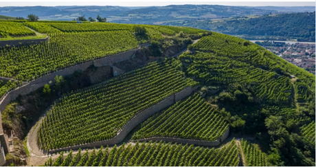 New Defaix Chablis, Rully + Guigal Single Vineyard Release - Extremely Limited