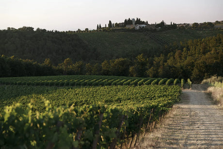 New Release: Isole e Olena + 99 Point Back Vintages