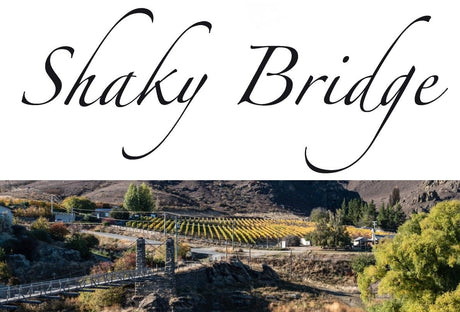 98 Points + Double Gold Medal for Outstanding Value NZ White