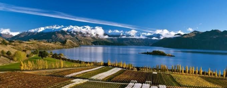 Rippon 97 Point "Velvety" Pinot Noir Back in Stock!