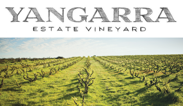 97pt Mclaren Vale Shiraz!