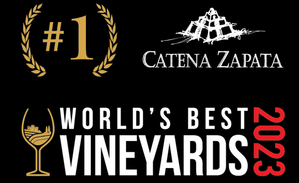 Catena Zapata Wins Best Vineyard!