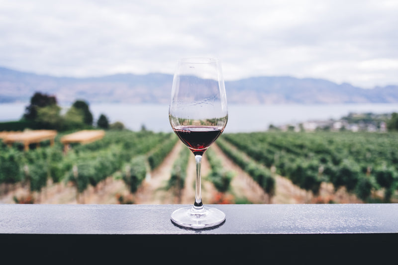 Sangiovese Wine: Pairings, Regions and Buying Guide