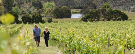 New Release: Holyman Limited 96pt Chardonnay, 95pt Pinot & Project X Pinot